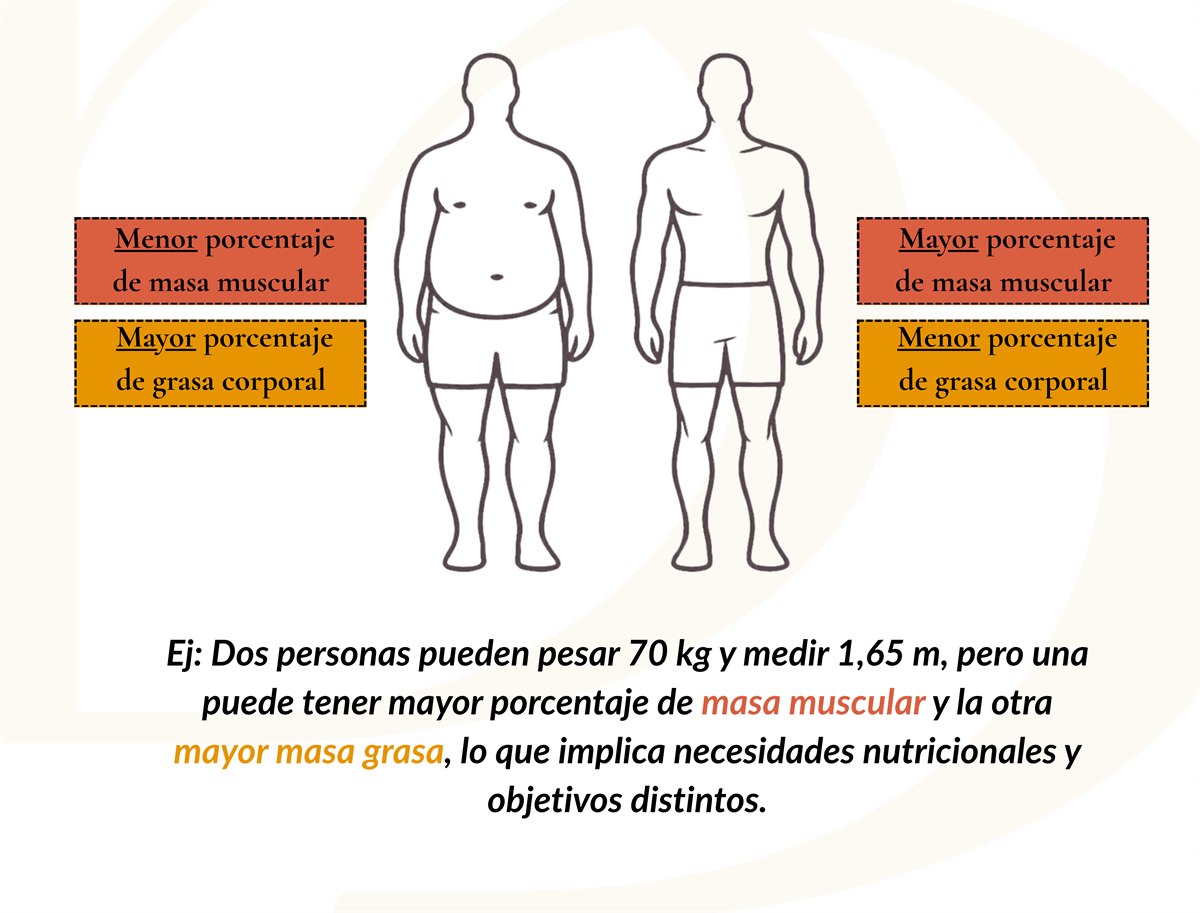Comparación de dos cuerpos con la misma altura y peso pero distinta composición corporal
